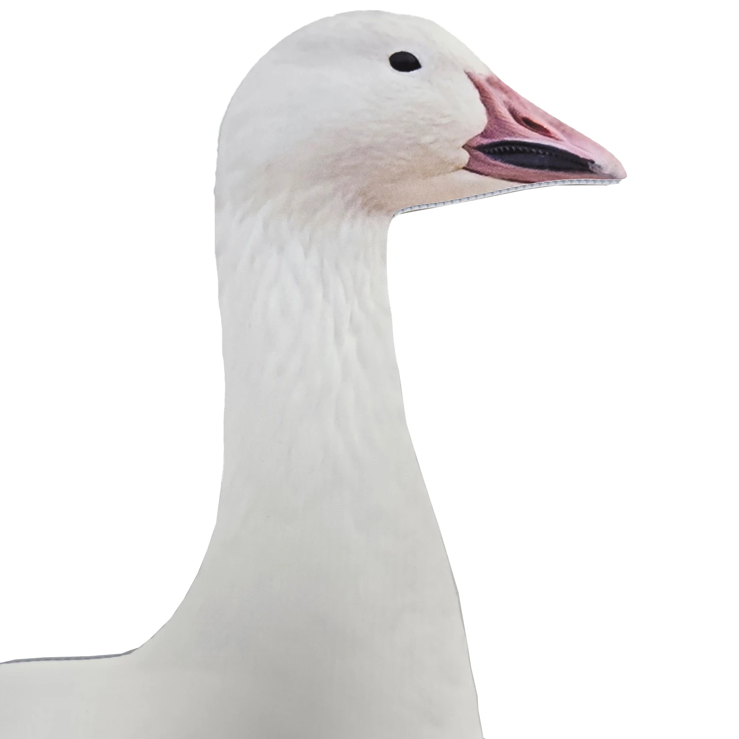 Special PE Sheet  Multi-Color Printing Waterproof and Fade-Proof hunting goose Silhouette Decoys