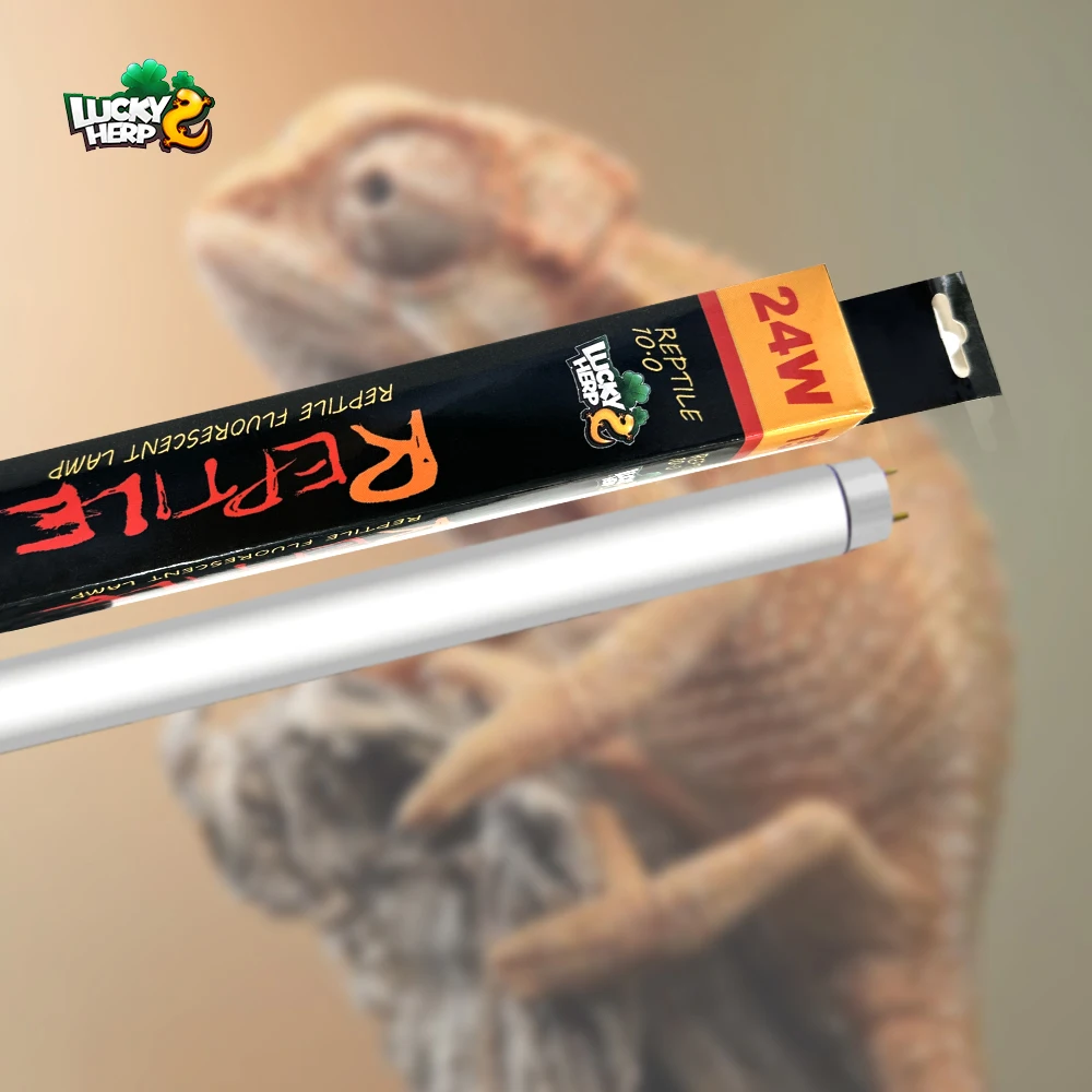 Factory Made T8 Customized Size UV Fluorescent Lamp Uvb Tube For Reptile