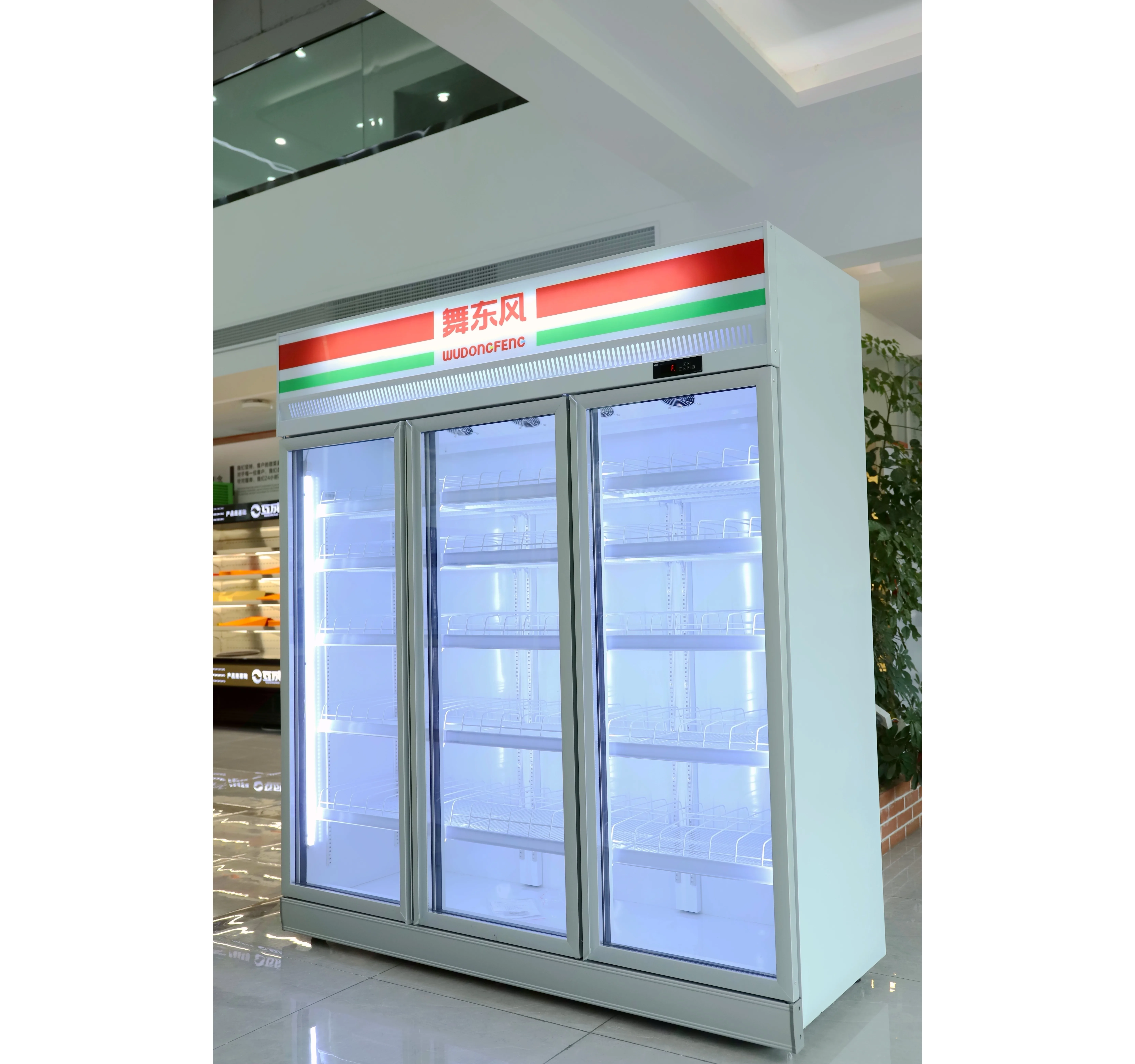 REBIRTH Instant Global Delivery Glass Door Fresh Frozen Fruit And Vegetable Beverage Vertical Freezer For Wholesale