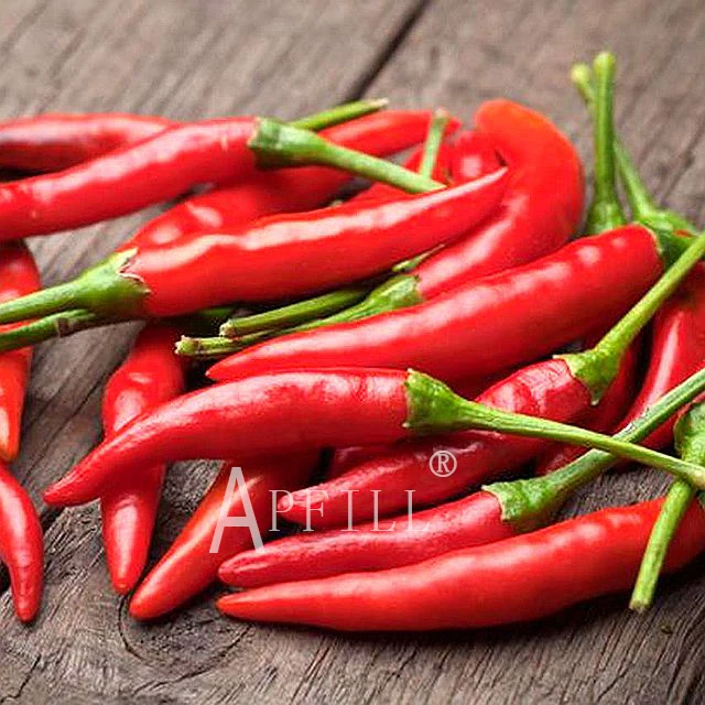 Свежий перц проса Yunnan наполнен питательным и вкусным зеленым и здоровым вкусом