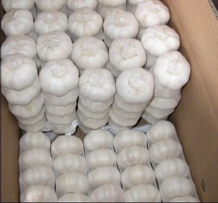 Organically grown fresh garlic Premium seasoned garlic for export to China