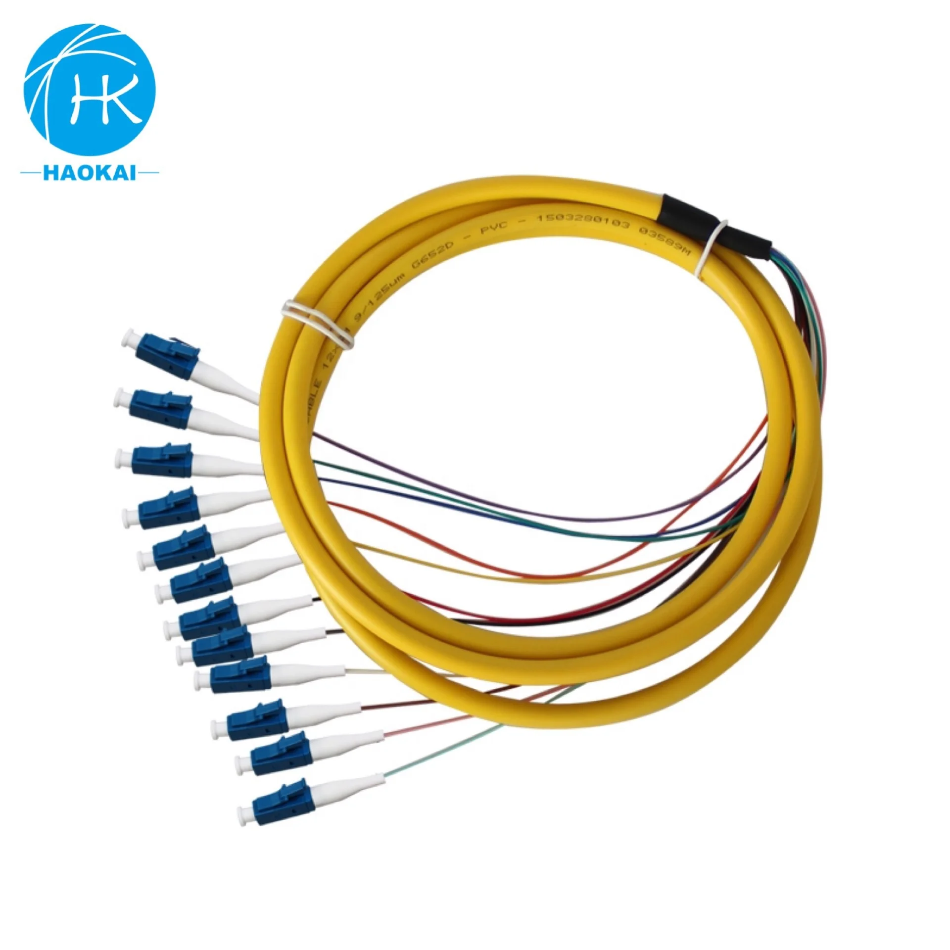 12 Core Waterproof Sc Apc Color Optical 0.9Mm 12Core Fiber Optic Pigtail