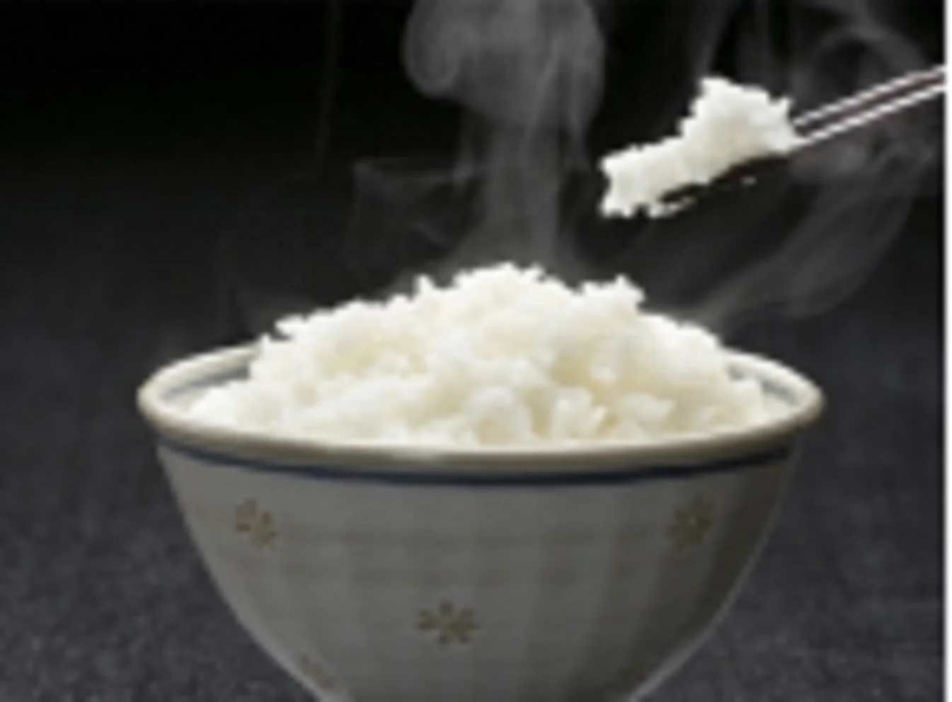 2022 new arrival hot sale multi Electric Rice Cookers,Portable Travel rice cooker,Cooking Appliances