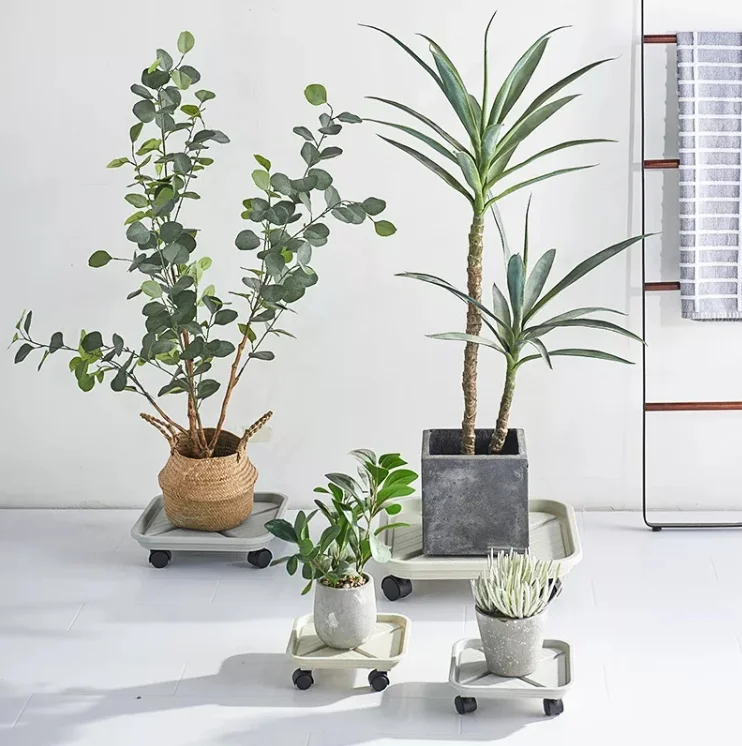 Factory Wholesale Round Square Pot Plant Stand Thickened Flower Pot Mover Holder with Drainage Water Container