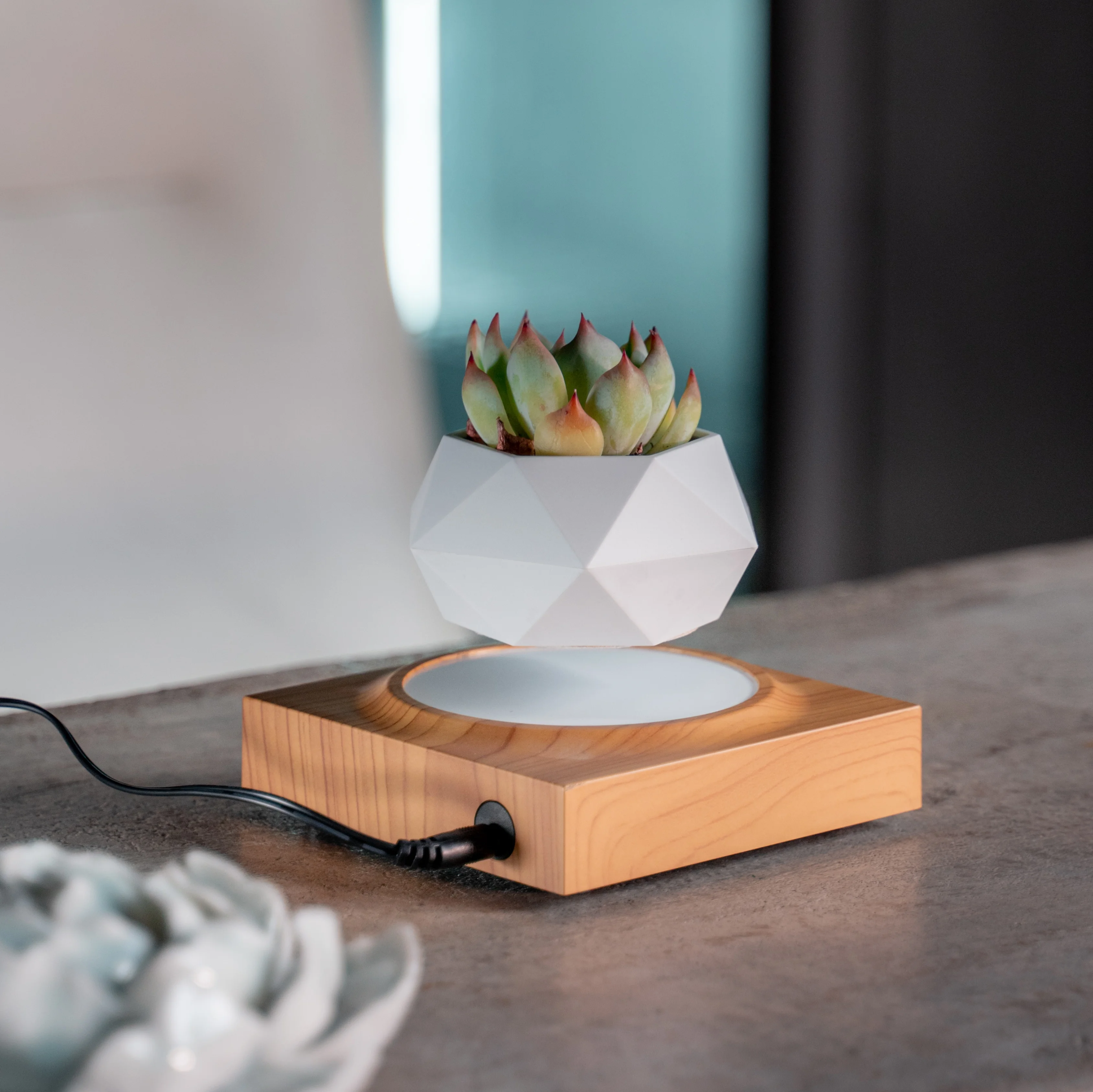 Magnetic Levitating Plant Pot Holder Wood Design Rotating Floating Pot Planter for Home Decorative Pot