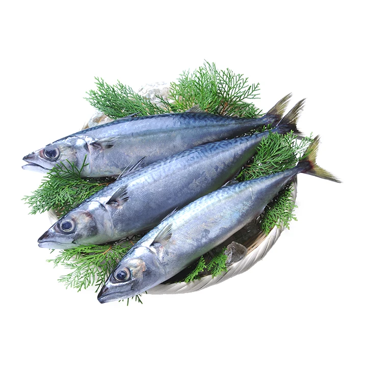 Japan Sea Foods frozen fillets dry wild caught fish salted mackerel