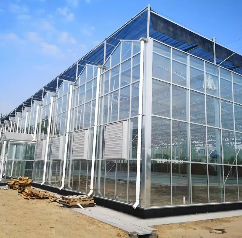 China Customized Intelligent Glass Multi Span Greenhouse for Lettuce Hydroponic Cultivation Film Steel Material Agriculture Use