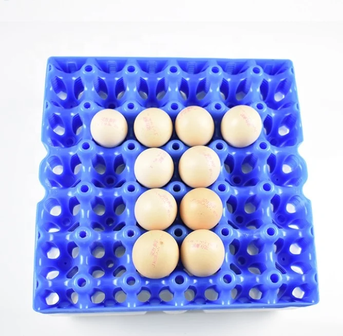 Eco-friendly Egg Carton Cheap Price 30 Holes Plastic Egg Packing Tray