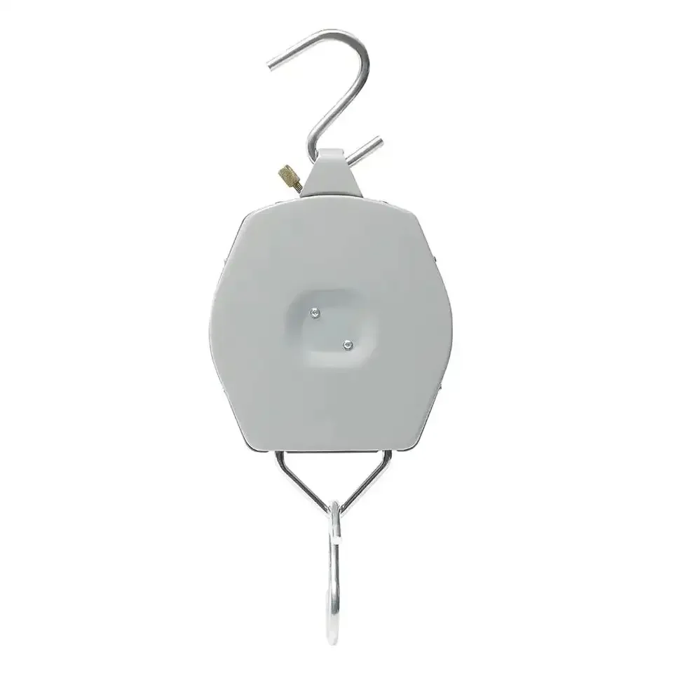 Commercial Small Spring Hanging Scale 100/200 Double Scale Disc Pointer Mechanical Cross border English Hanging Scale