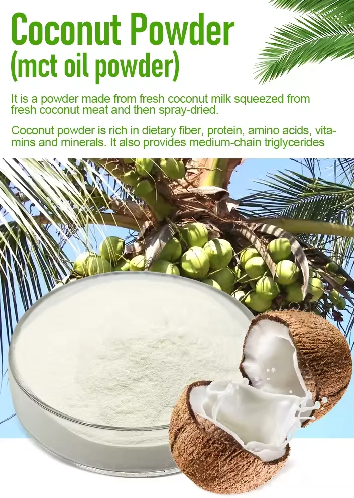 Wholesale Supplier Good Flavor 100% Natural Organic Low Fat Bulk Dried Coconut Milk Powder