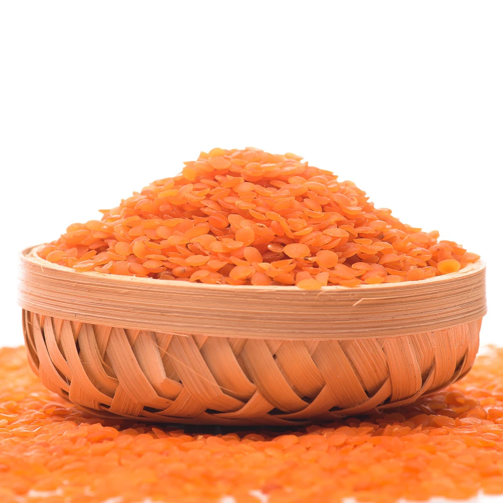  Organic Agricultural Products Red Split Lentils Crop Beans