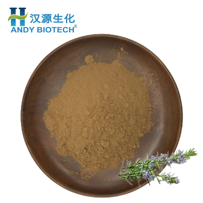 Manufacturer Supply Water soluble 5% Rosmarinic Acid Rosemary Extract Powder