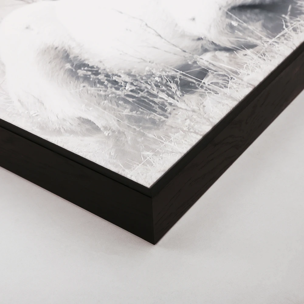 
Customize modern animal art black and white design floating picture canvas print with frame 