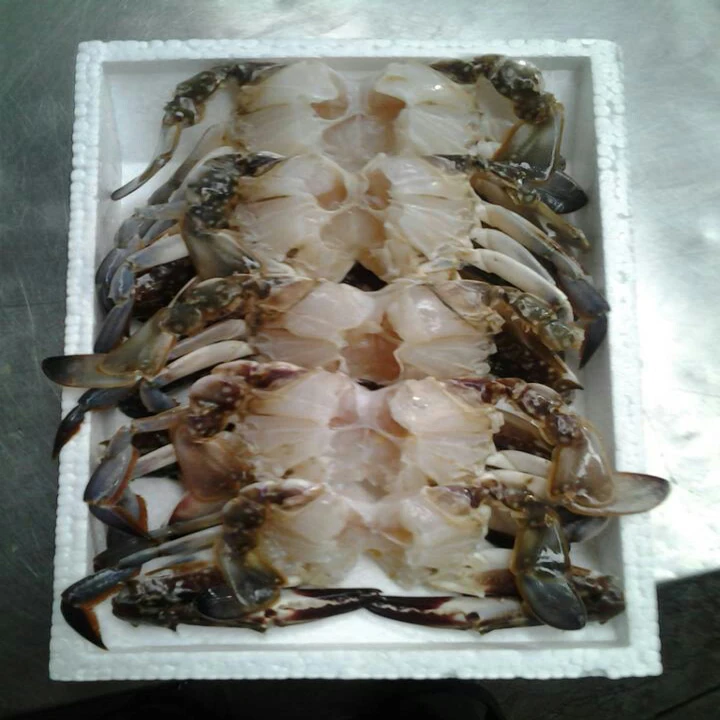 factory direct fat cut ghost crab big size Frozen Crab raw material block in stock