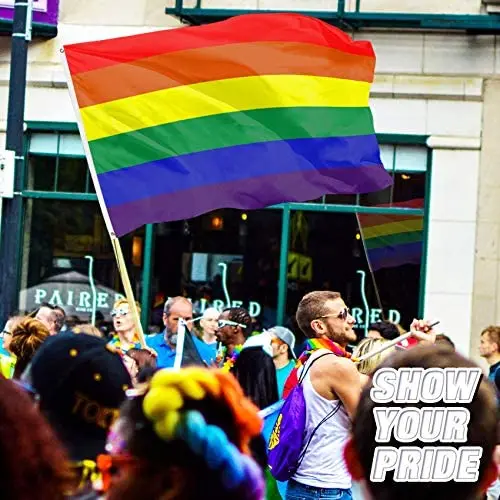 outdoor plastic pole hang waving flag rainbow flag wholesale  rainbow lgbt flag