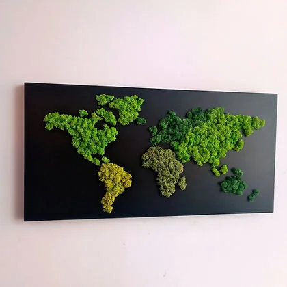 wholesale indoor natural green decorative lichen DIY materials moss wall Factory supply preserved moss for moss wall art