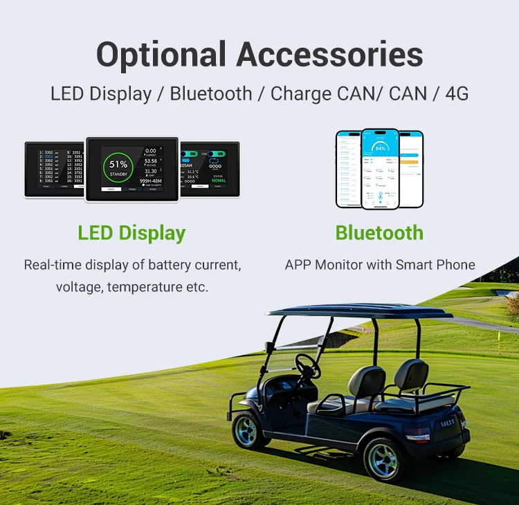 51.2V 100Ah Long-Lasting Sightseeing Car Ev Battery Pack Electric Bag Golf Cart Battery Electric Lithium Golf Cart Battery