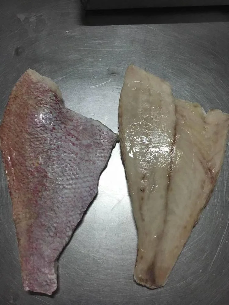 Good Sale from Indonesia Frozen Red Snapper Fillet