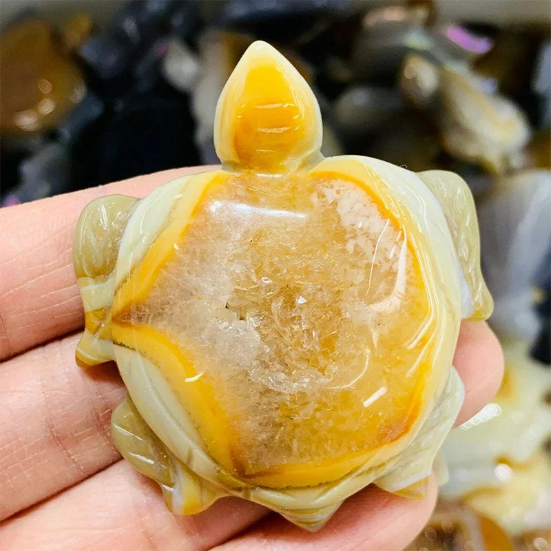 2024 Wholesale Natural Crystal Animals Agate Geode Tortoise Agate Turtle for Decoration