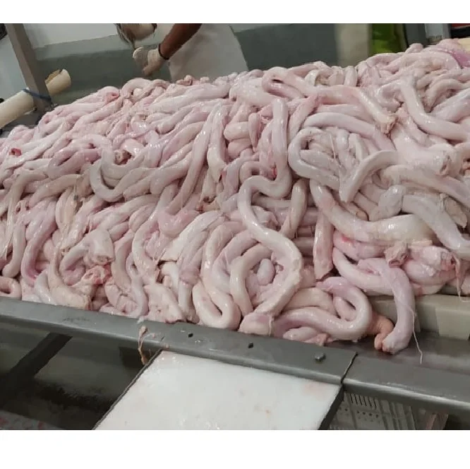 Frozen Beef Halal/Cow Frozen Parts Frozen Beef Pizzle Penis From Pakistan Edible Frozen Beef Meat