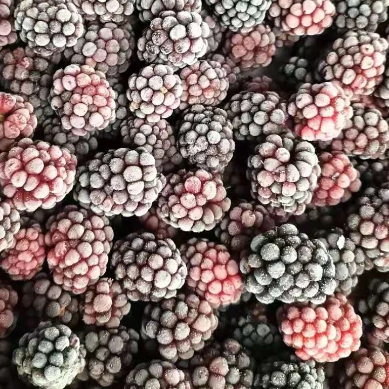 Китайский замороженный фрукт IQF Blackberry