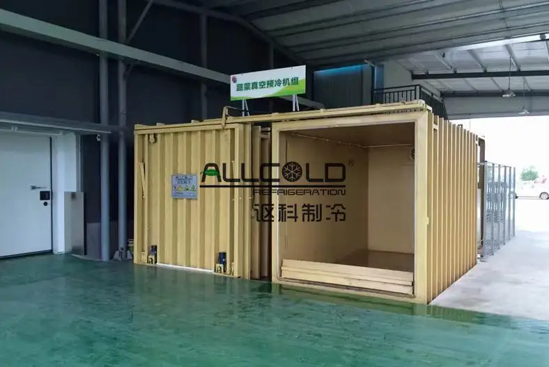 Agriculture cooling system /rapid cooling Fruit /Vegetable /Flowers  6 pallets Vacuum Cooling Machine