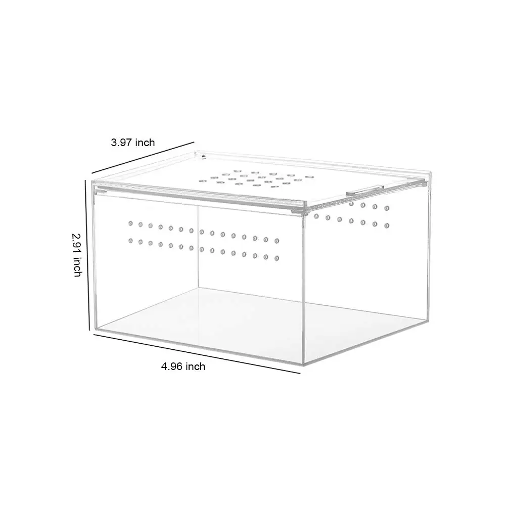 Custom Clear Rectangular Acrylic Reptile Boxes Create a Comfortable Environment for Animals