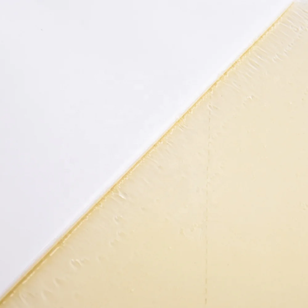 High Quality Home Sticky Paper Catch Mice professional Mouse Glue Trap