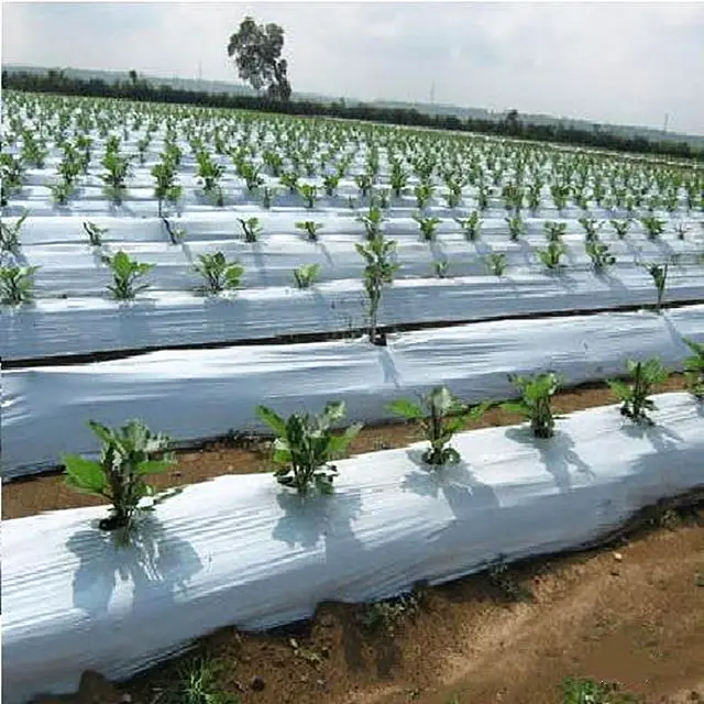 100% virgin raw materi vegetable mulch film strawberry pe film garden flower greenhouse plastic mulch film