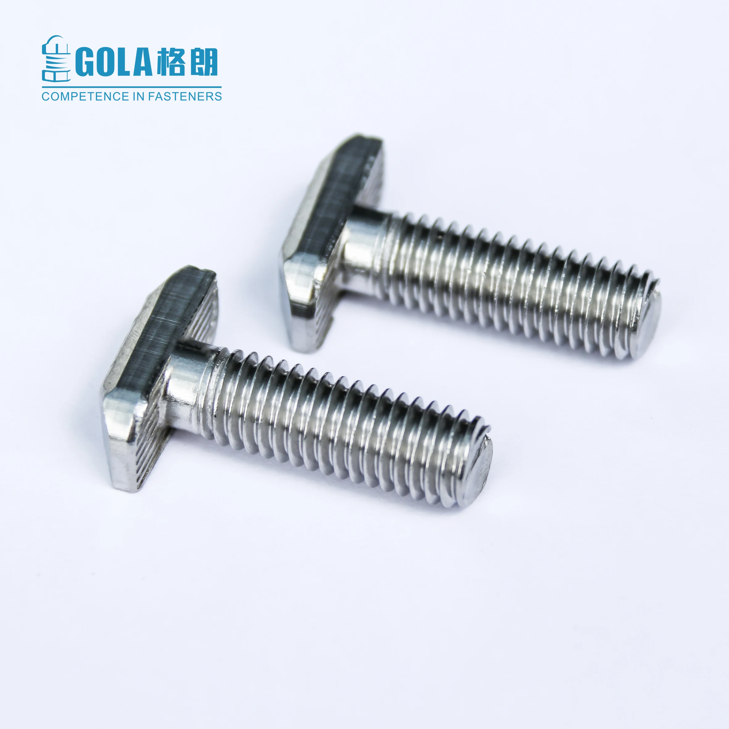 M6 M8 M10 M12 M24 Stainless Steel 316 Hammer Head T screw T bolt