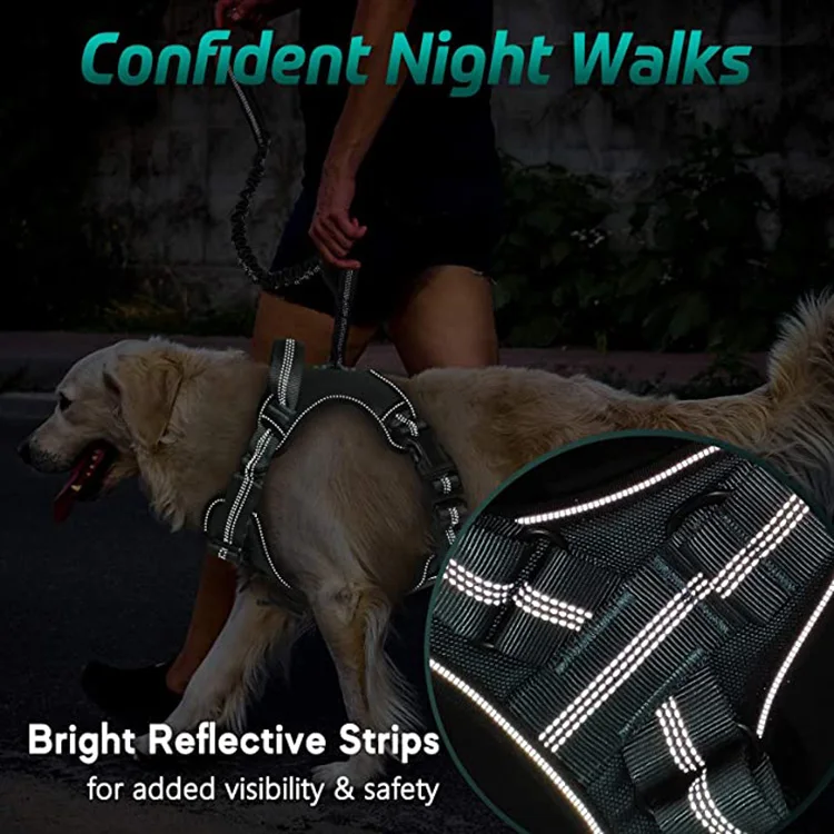 Adjustable Dog Walking Harness with 2 Metal Clips & Shock-Absorbing Bungee Straps
