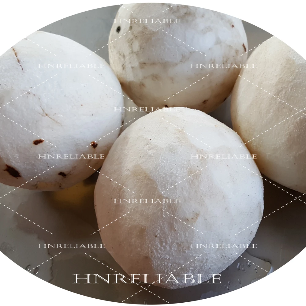 Coconut peeling machine for brown skin coconut peeler machine