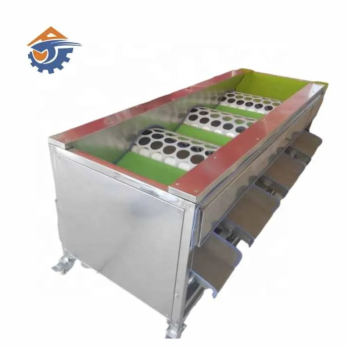 
Tomato onion garlic grading line grader orange feeding round shape peach sorting machine 