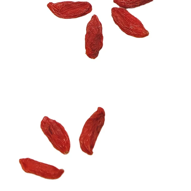 Factory Manufacture Various Tradition Fresh Goji Berries Frozen Goji Berry