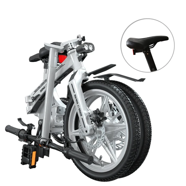 
Sport Electric Floding Bike For Lady 