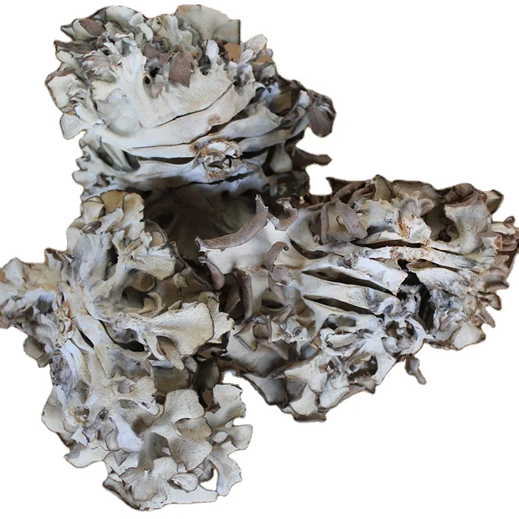 Китайские Натуральные сушеные грибы maitake hui shu hua оптом