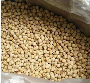 Chinese suppliers roasted hazelnut kernel, original flavor, Cobnut/Dry Hazelnuts for sale popular