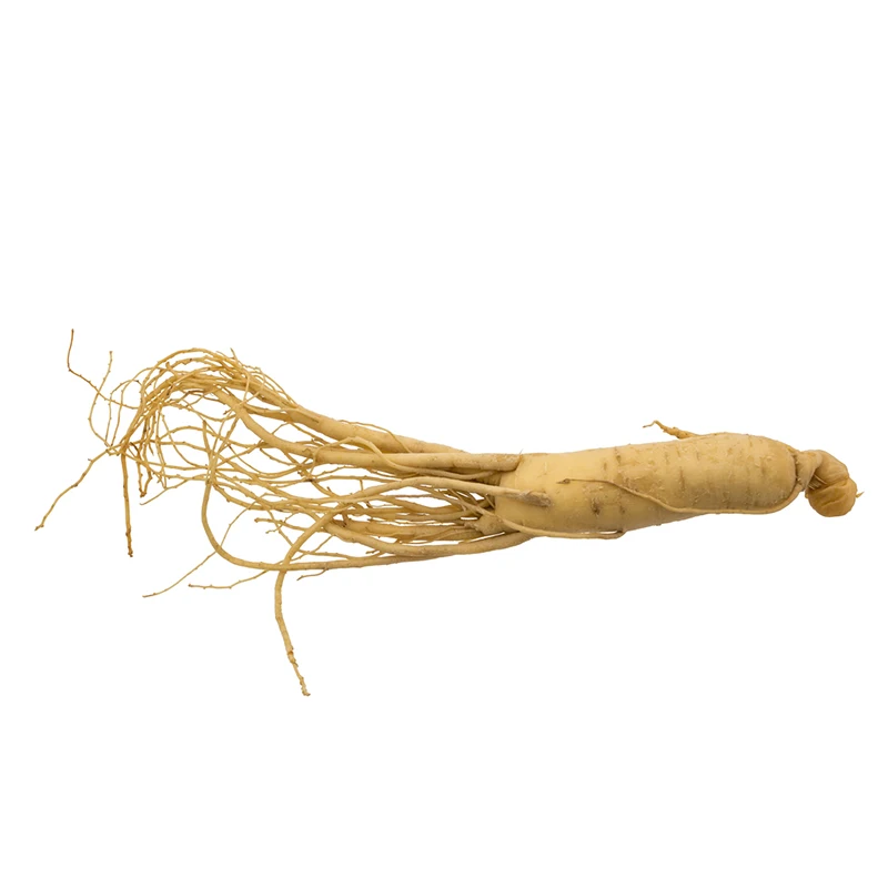 Chinese fresh ginseng root radix panax ginseng extract ginseng liquor