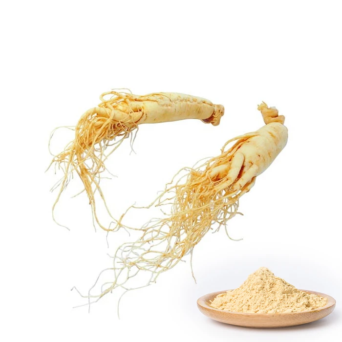 Hot sale korean ginseng extract powder