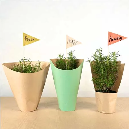 Крафт-бумага свежих растений зеленый овощами мешки бумажные травы рукава Травы Горшки Обложка