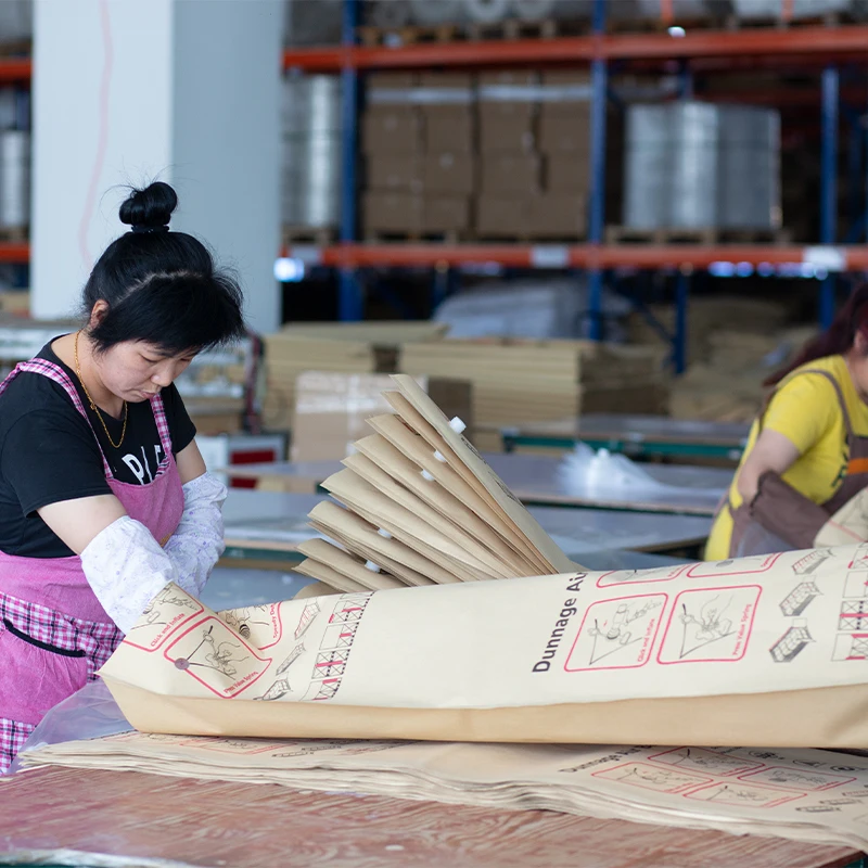 Dreammao Air Bag Machine PVC Dunnage Bag