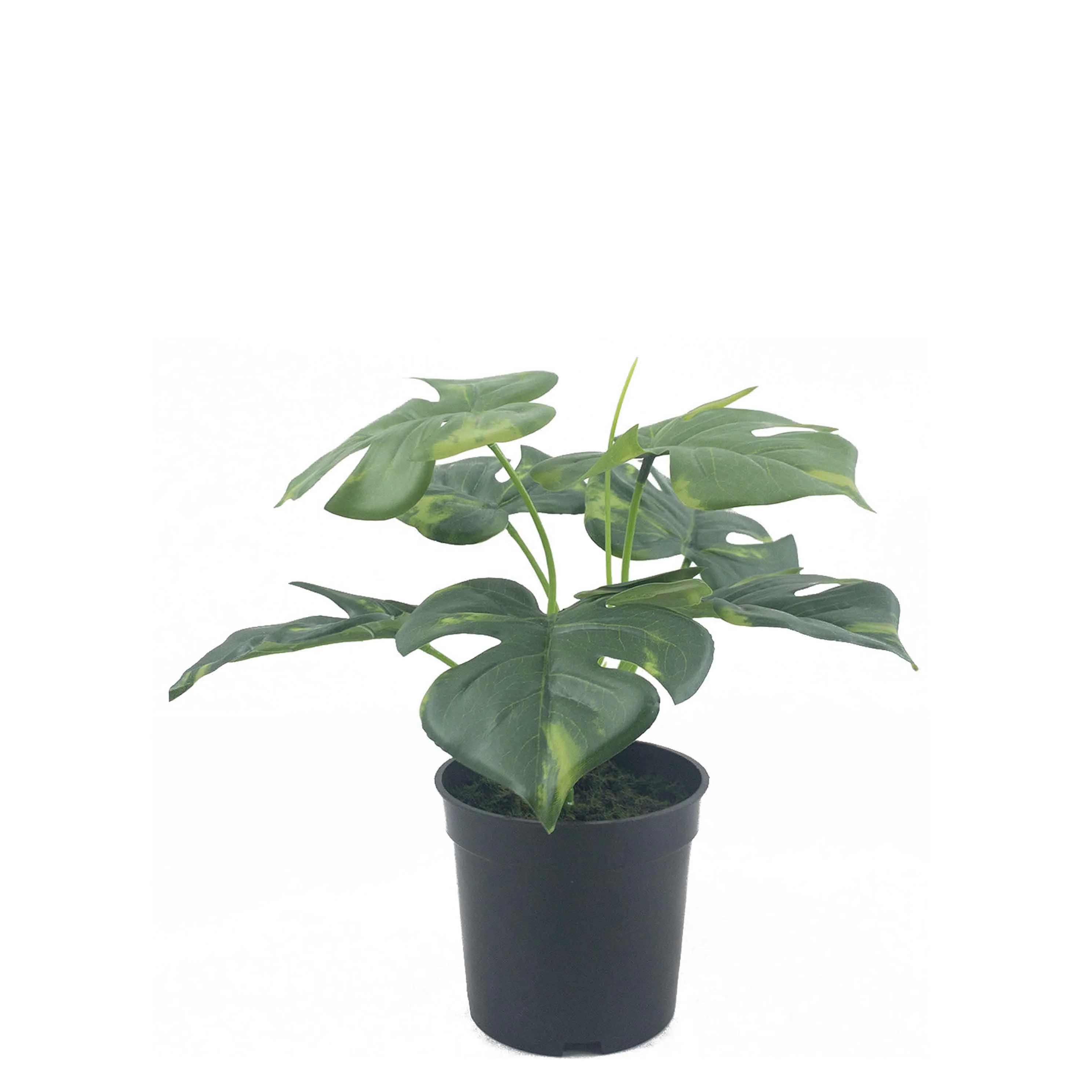 2022 Hot Sale High Quality Artificial Monstera Bonsai for Office Home Decoration Leaves Plants Plastic Artifical Plant Everyday