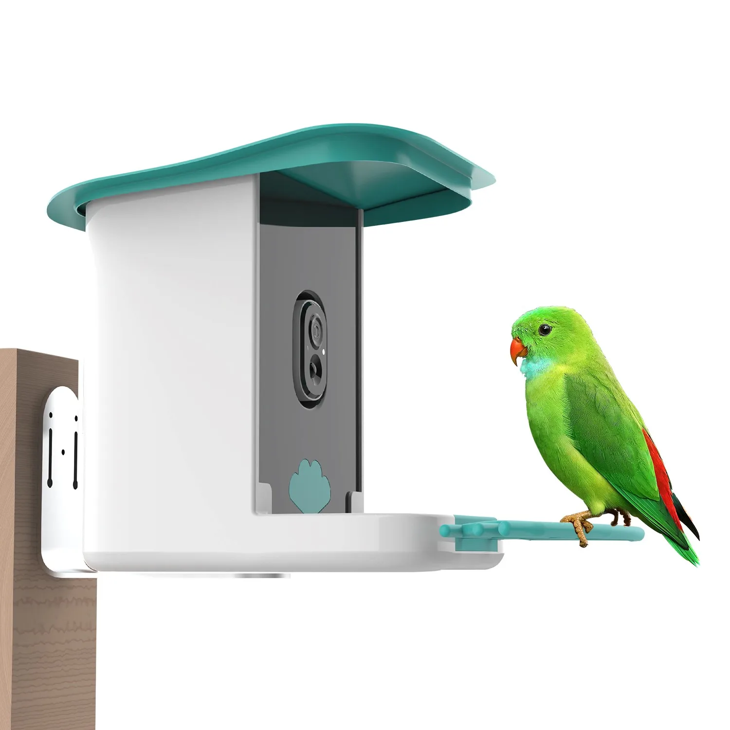 IP65 SOC Outdoor Wildlife Bird Feeder AI Recognition Bird Species Smart Bird Feeder Plastic Bowls Automatic Feeders & Waterers