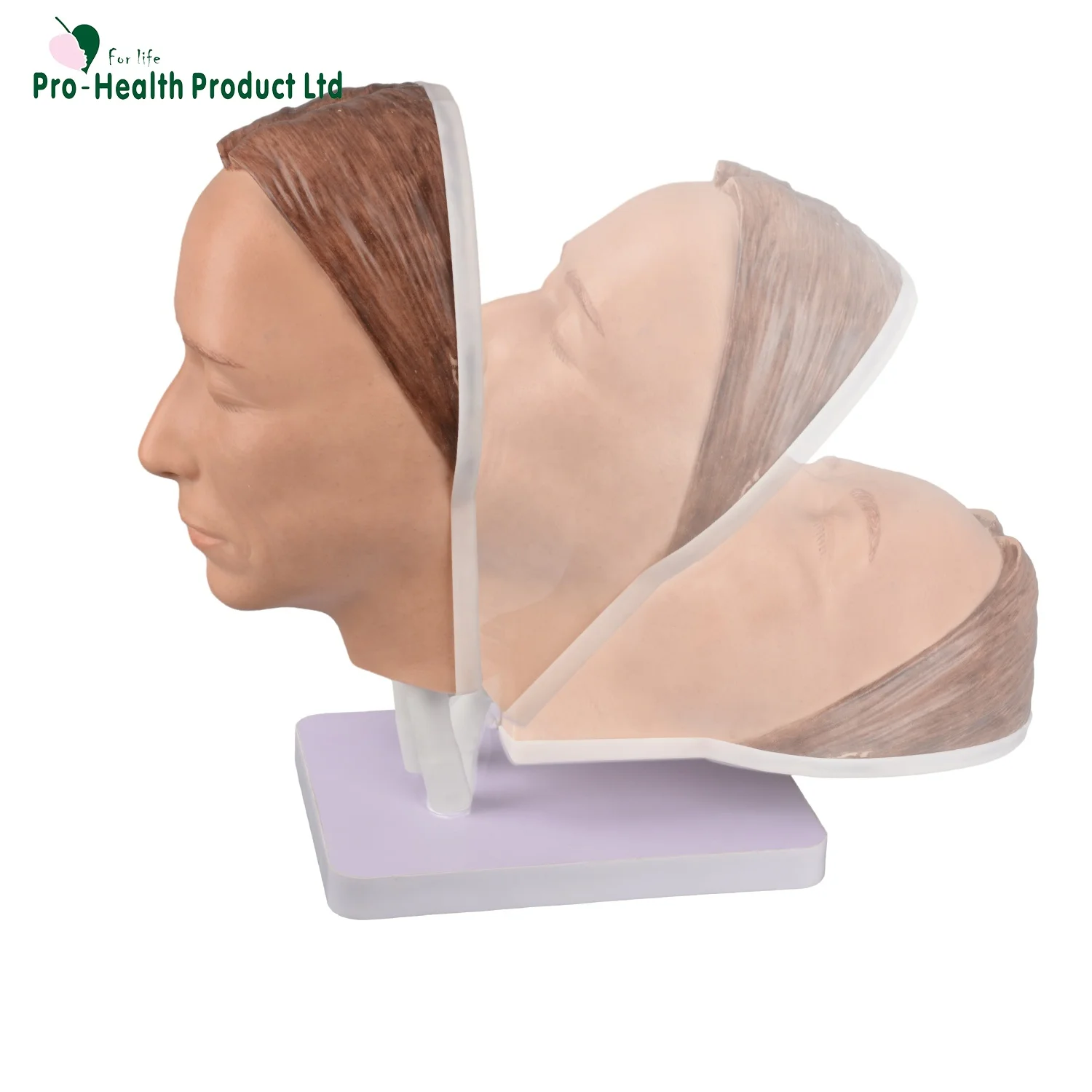 Silicone Mannequin Head Female Face With Bone Inside Injection Practice Model for Neurotoxin Injections Facial Injections
