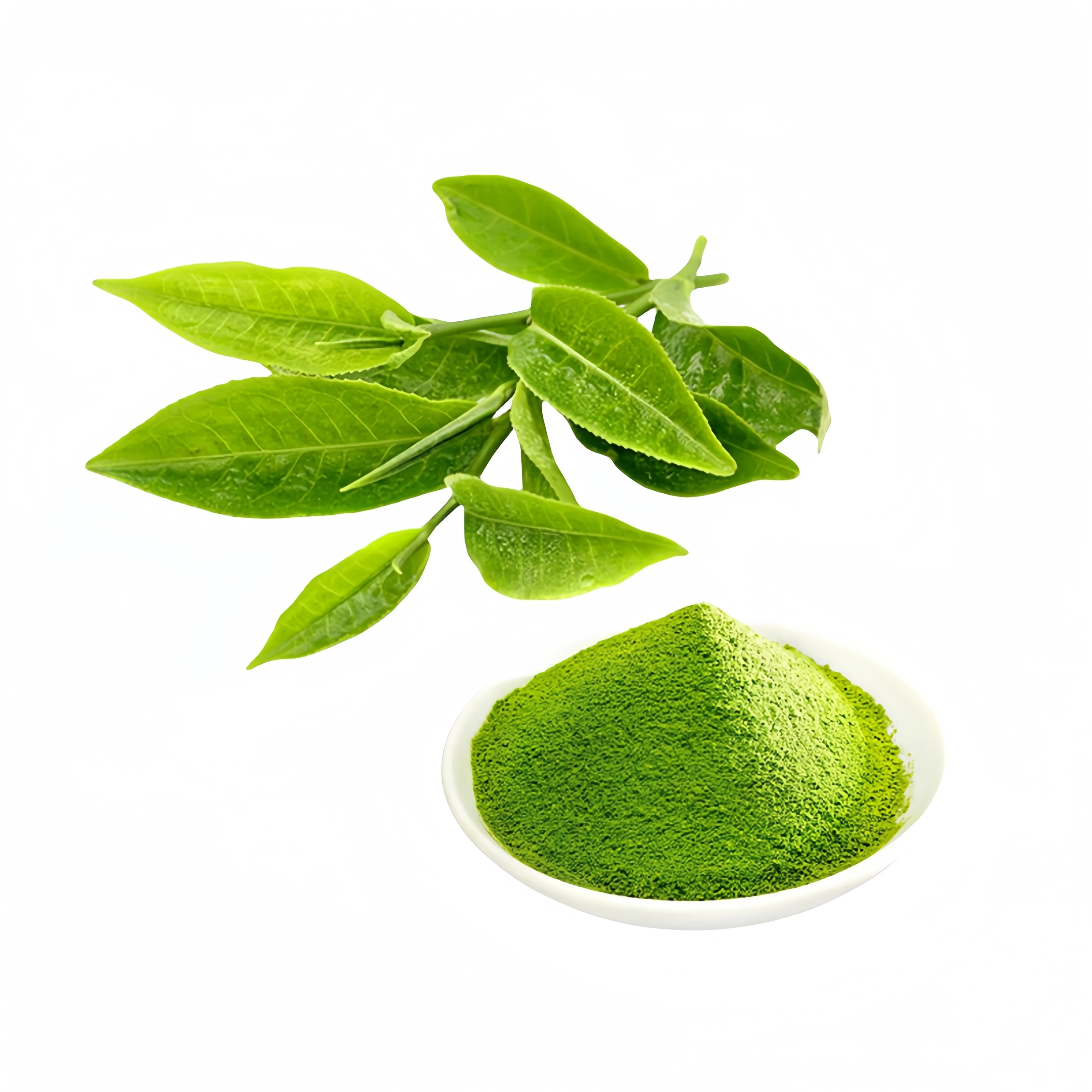 OEM Nutrition Customize Formula 100% Pure Culinary Grade Organic Matcha Green Tea Powder For Adults