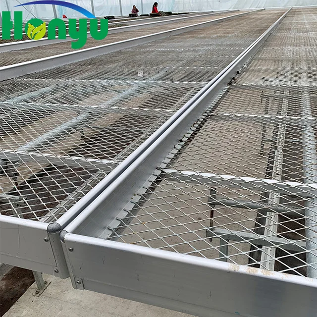Hot Sale Agriculture Greenhouse Galvanized Wire Mesh Rolling Benches Movable Seed Beds For Nursery