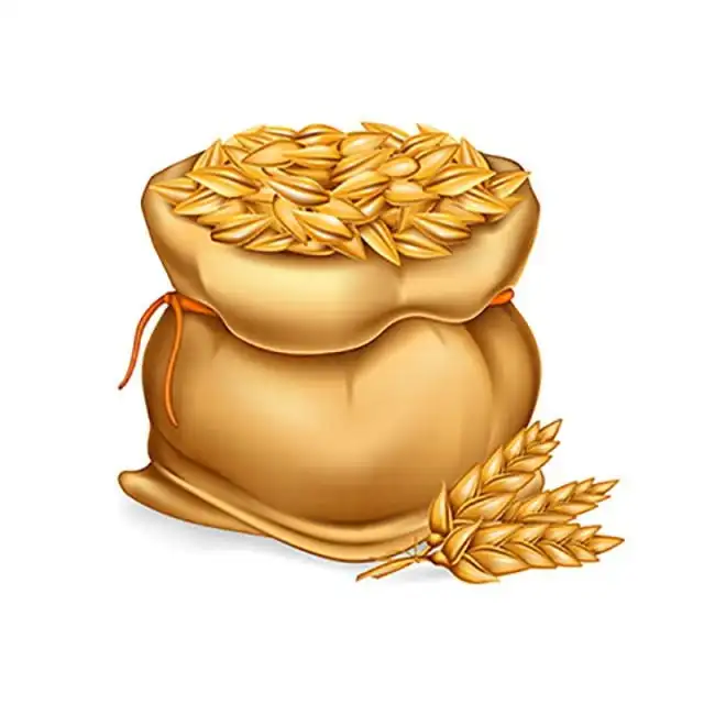 
Barley Grains Premium Barley Seeds/Animal feed barley/bulk barley grains Malted Barley Malt grain for sale Top Grade 