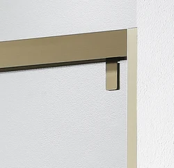 Champagne golden stainless steel safe tempered glass double sliding bath shower door with buffer