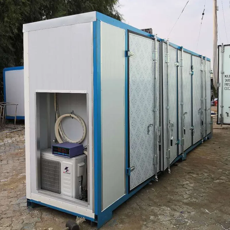 2023 Newest Customized Hydroponic Machine To Germinate Seed