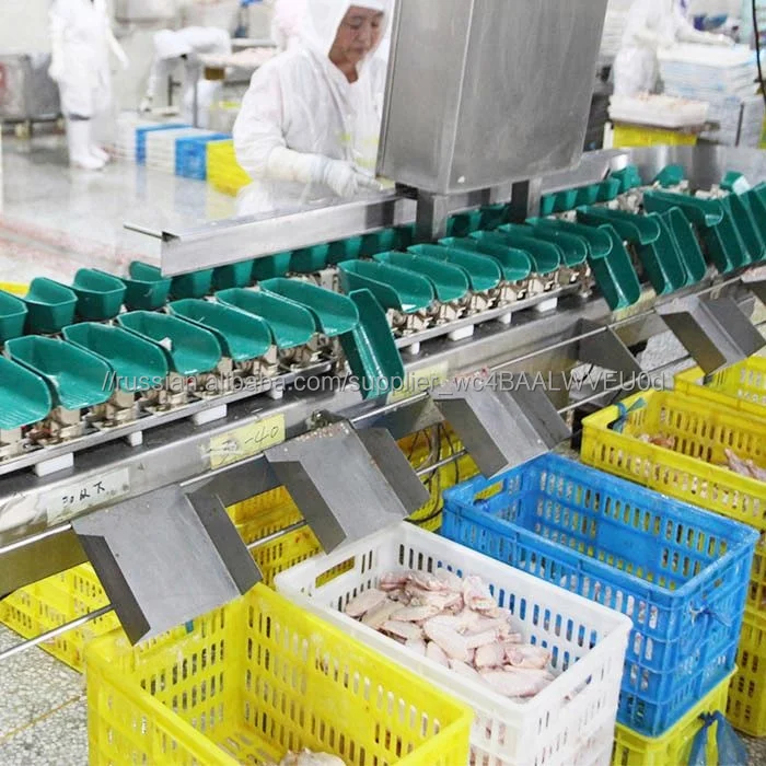 Убоя птицы скотобойни куриного перерабатывающего завода 800BPH убоя Фильтрующее Оборудование для продажи
